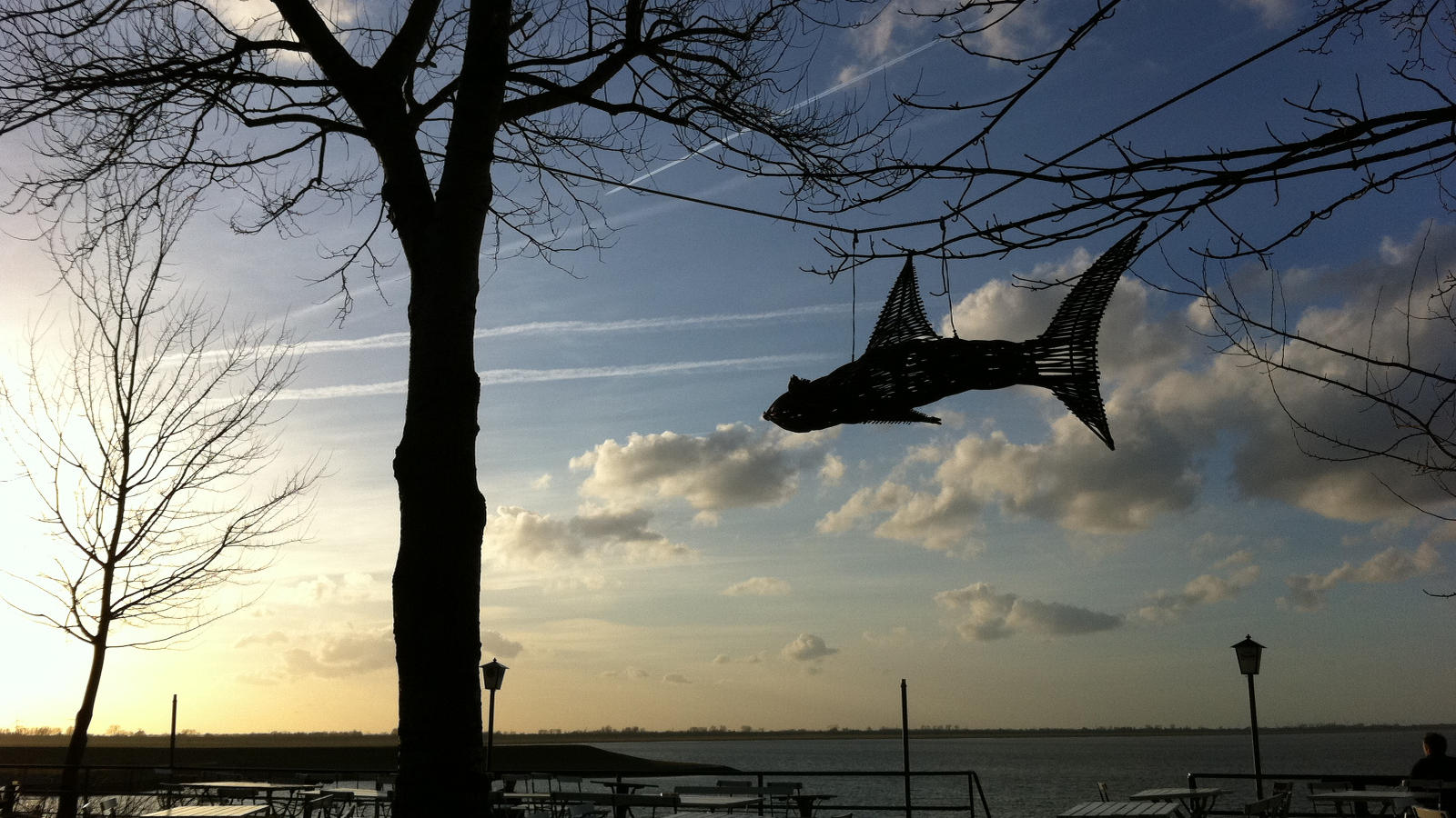 Fliegender_Fisch_Dangast